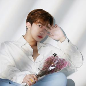 成人AV毛片无码免费网站
