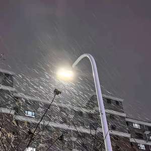 成人AV毛片无码免费网站
