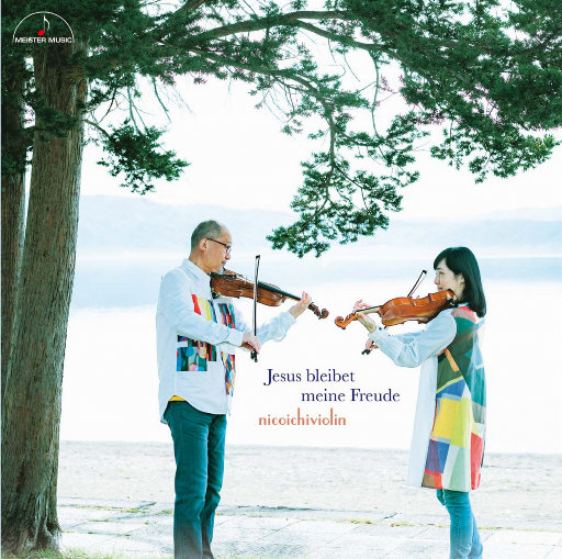 成人AV毛片无码免费网站
