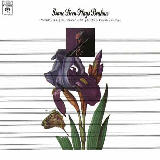 成人AV毛片无码免费网站
